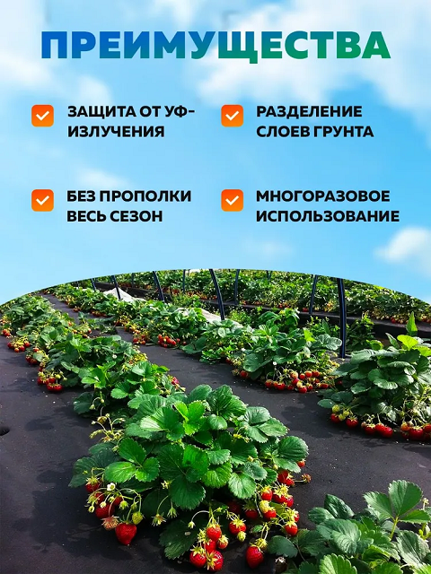 Спанбонд УП 60 (3,2 м) черный 2м — изображение 4